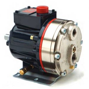 D10 Series Positive Displacement Pump